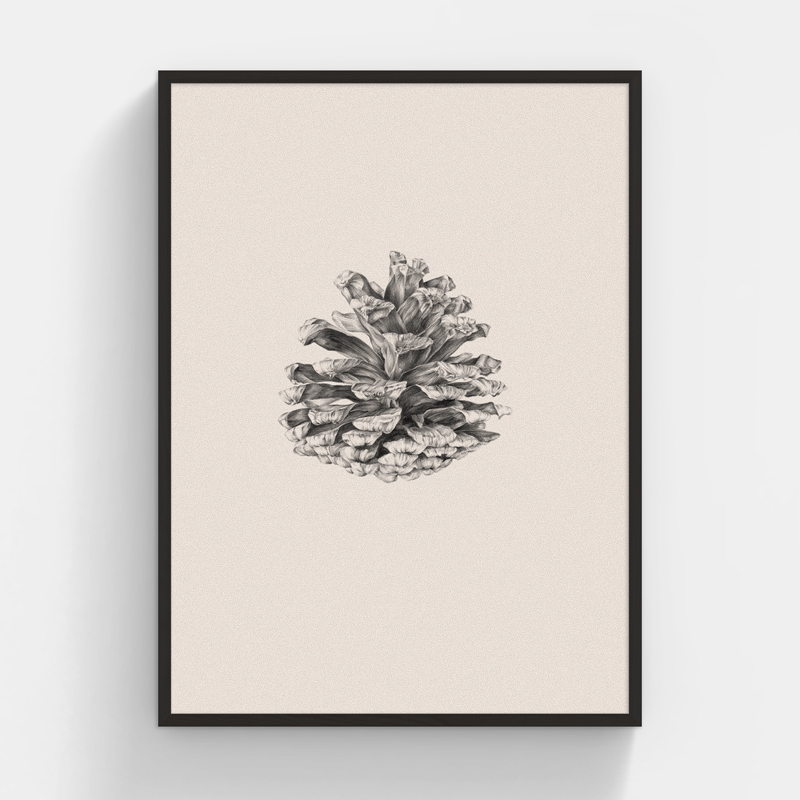 李茜〈松果──Pinusyunnanensis 雲南松〉限量版畫