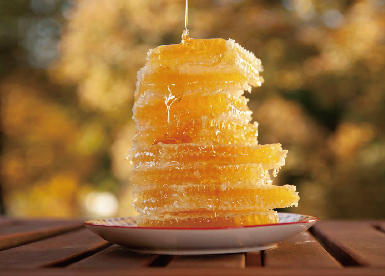 Fulmer,honey,hungary honey,cut comb,honeycomb,蜜糖,蜂蜜,蜂巢蜜,匈牙利蜂蜜,抗菌,消炎,natural ponti,ponti,ponti trading