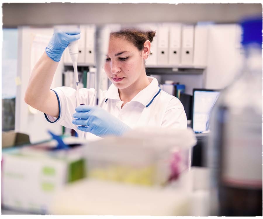 Fulmer,honey,hungary honey,cut comb,honeycomb,蜜糖,蜂蜜,蜂巢蜜,匈牙利蜂蜜,抗菌,消炎,natural ponti,ponti,ponti trading