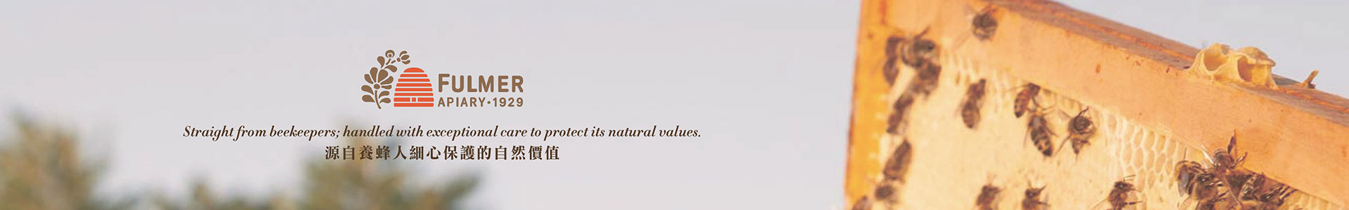 Fulmer,honey,hungary honey,cut comb,honeycomb,蜜糖,蜂蜜,蜂巢蜜,匈牙利蜂蜜,抗菌,消炎,natural ponti,ponti,ponti trading