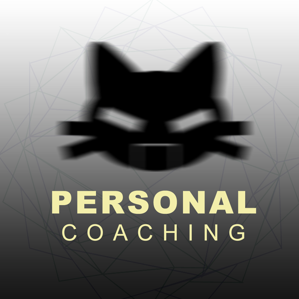 Dashing personal coaching (一對一)