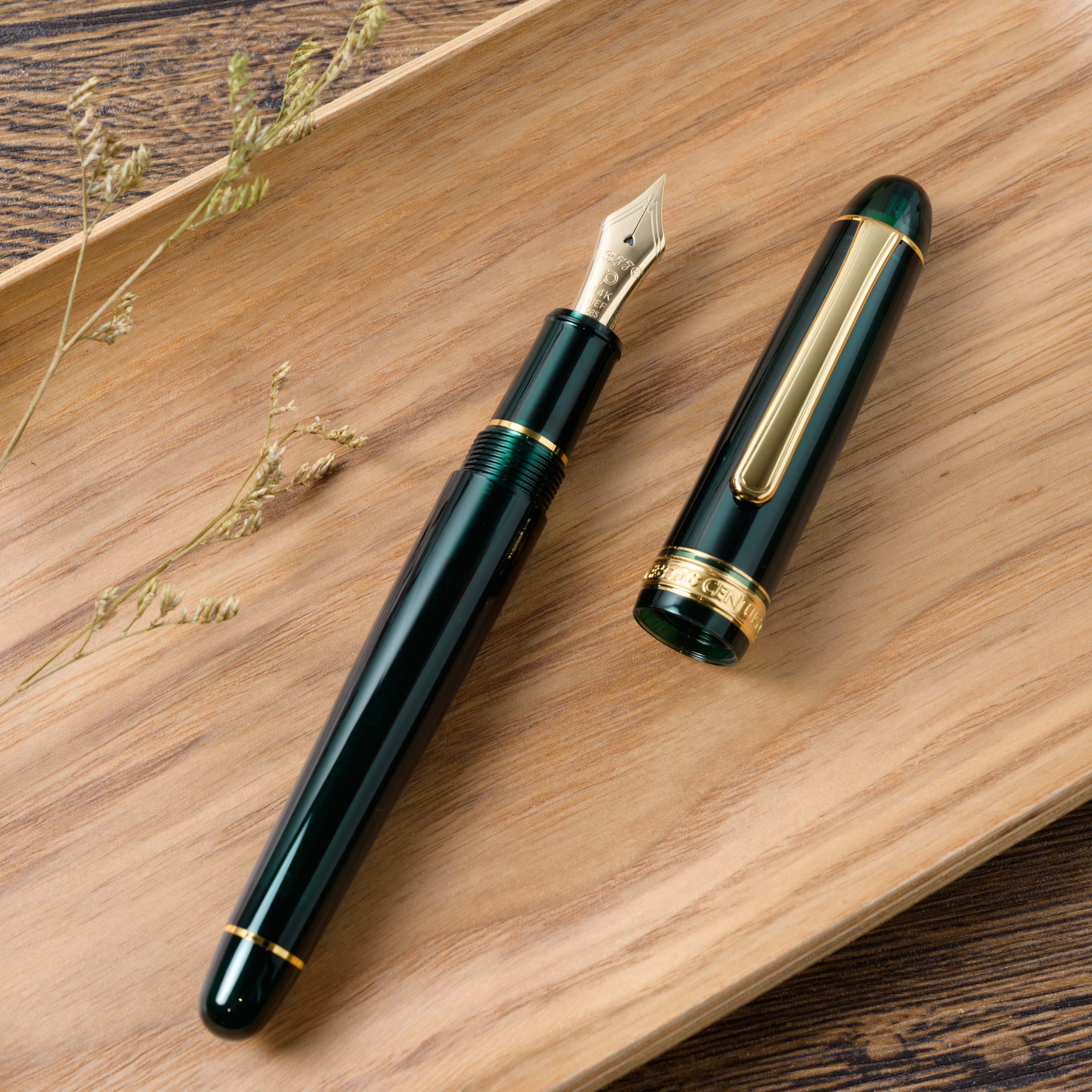 日本白金｜3776 CENTURY 14K金鋼筆