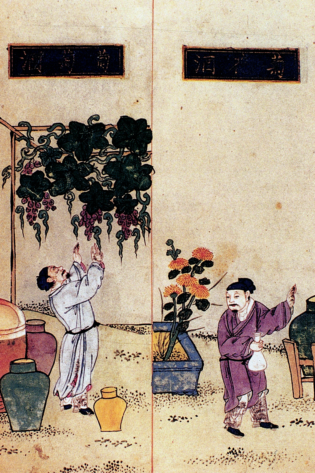 grapes cultivated in  ancient China