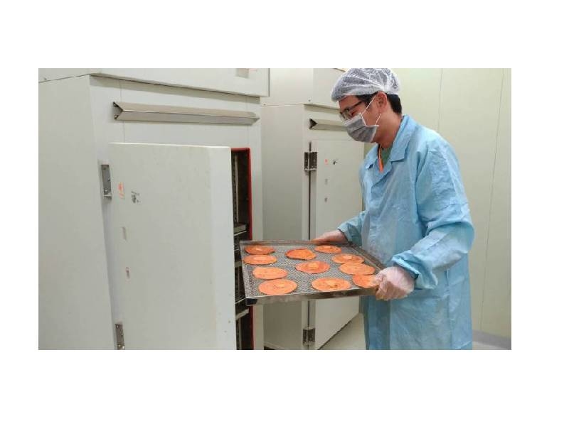 牛樟芝子實體優於牛樟芝菌絲體