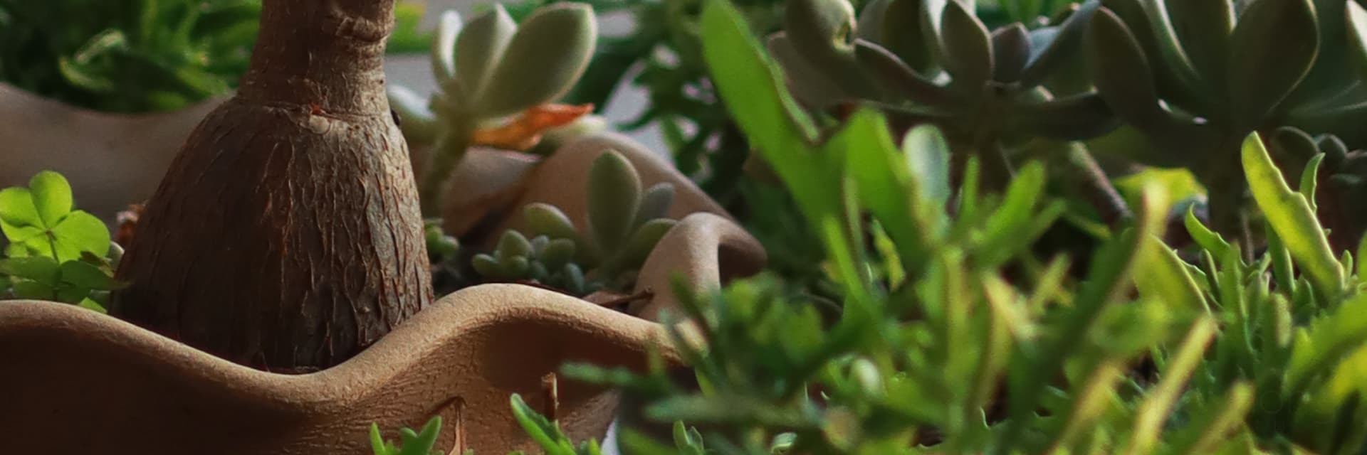 與首宏聯絡 免費訂購電話:0800-889-579周一~週六08:00~22:00 手機:0908-519-579 市話:04-267-123-67 E-mail: sh579com@gmail.com