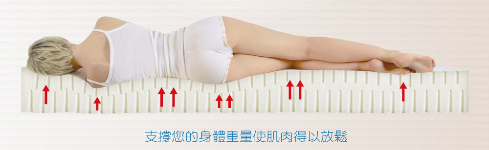 天然乳膠平均支撐及放鬆身體