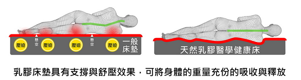 天然乳膠平均支撐及放鬆身體