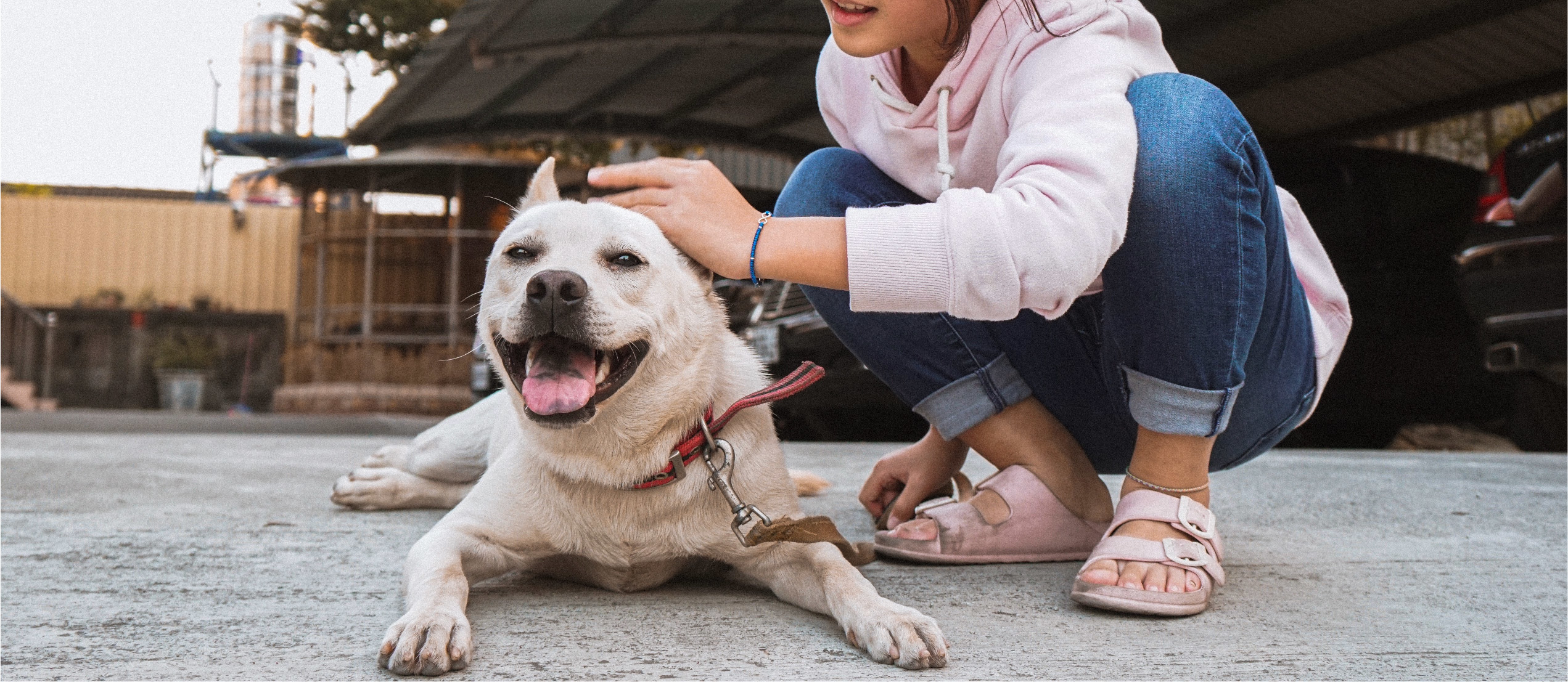 小時候阿公家有一隻皮膚不好的小黃，只知道阿公花了好多錢、好多心力