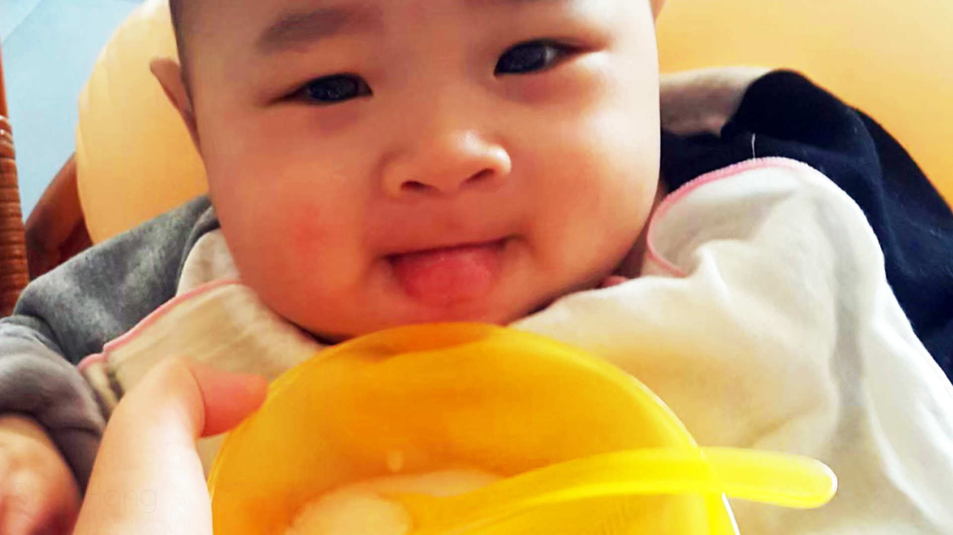 從孩子的副食品開始  在台灣大部分的爸爸媽媽  都會以10倍白米糊  粥之米湯為首選  直到長出乳牙的過程