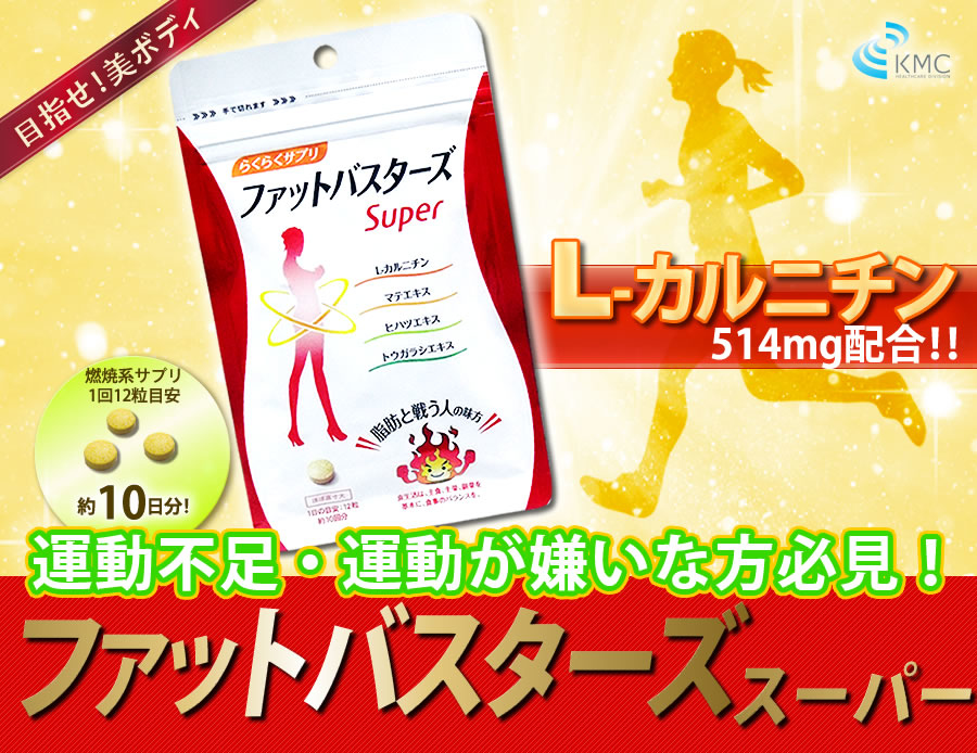 Sunny Health Fat Buster Super