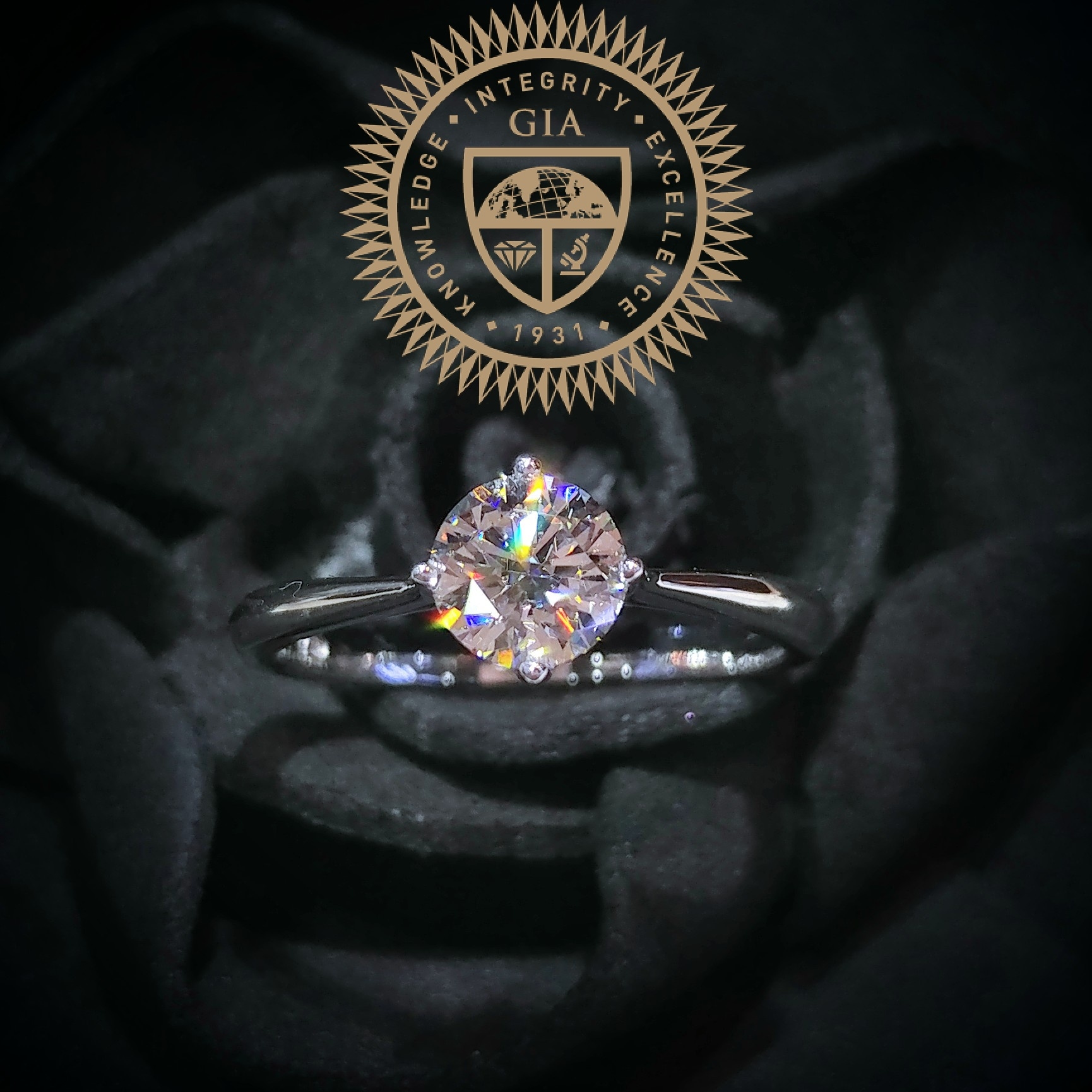 18K White Gold 0.61ct Diamond Ring