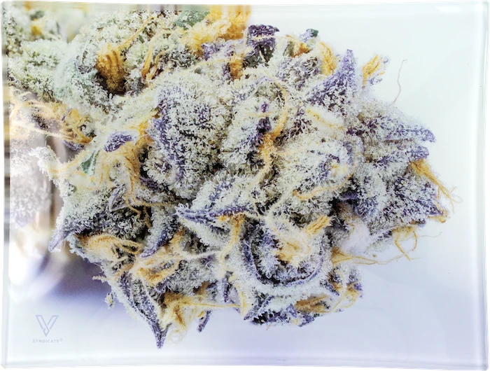 🇺🇸 V-syndicate - （Small）Glass Tray 玻璃盤