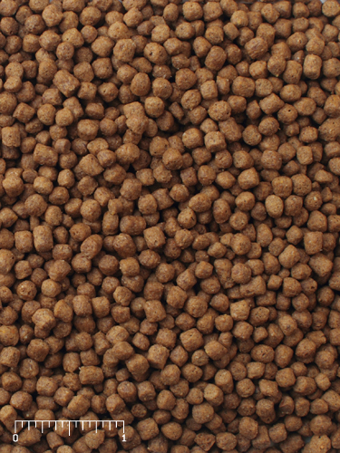 Mazuri水龜全方位飼料25磅 (5M87)