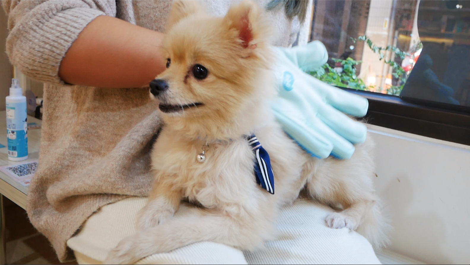 輕鬆清洗毛小孩再也不臭