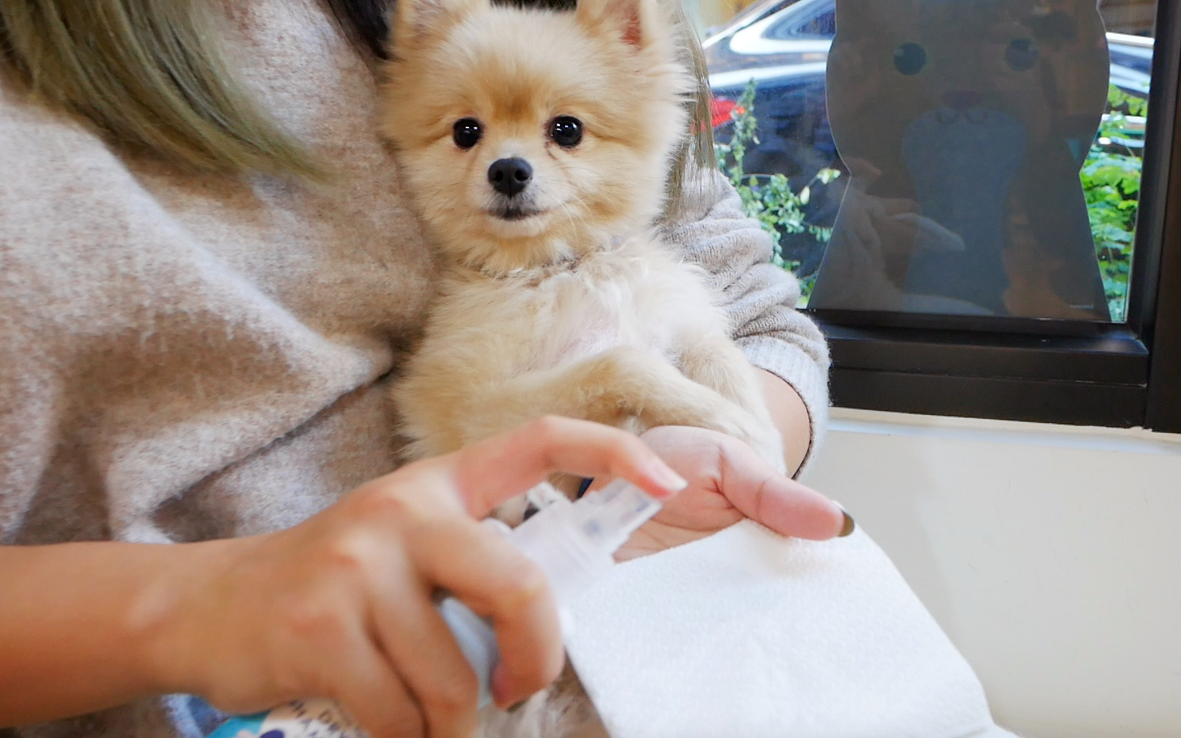 將噴霧噴於紙巾