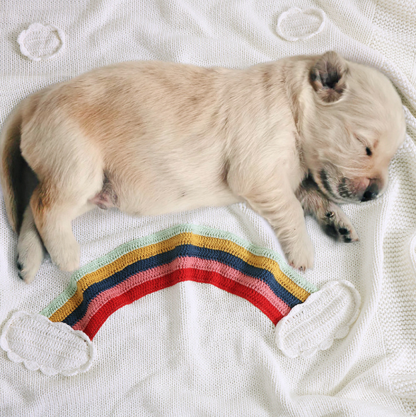 Rainbow Jersey Blanket