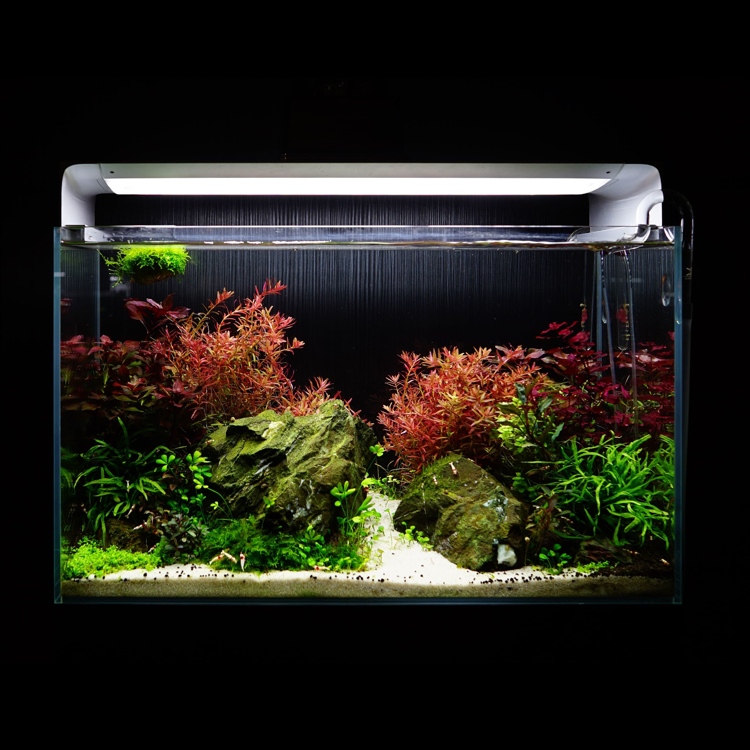 Flat one 2024 aquarium light