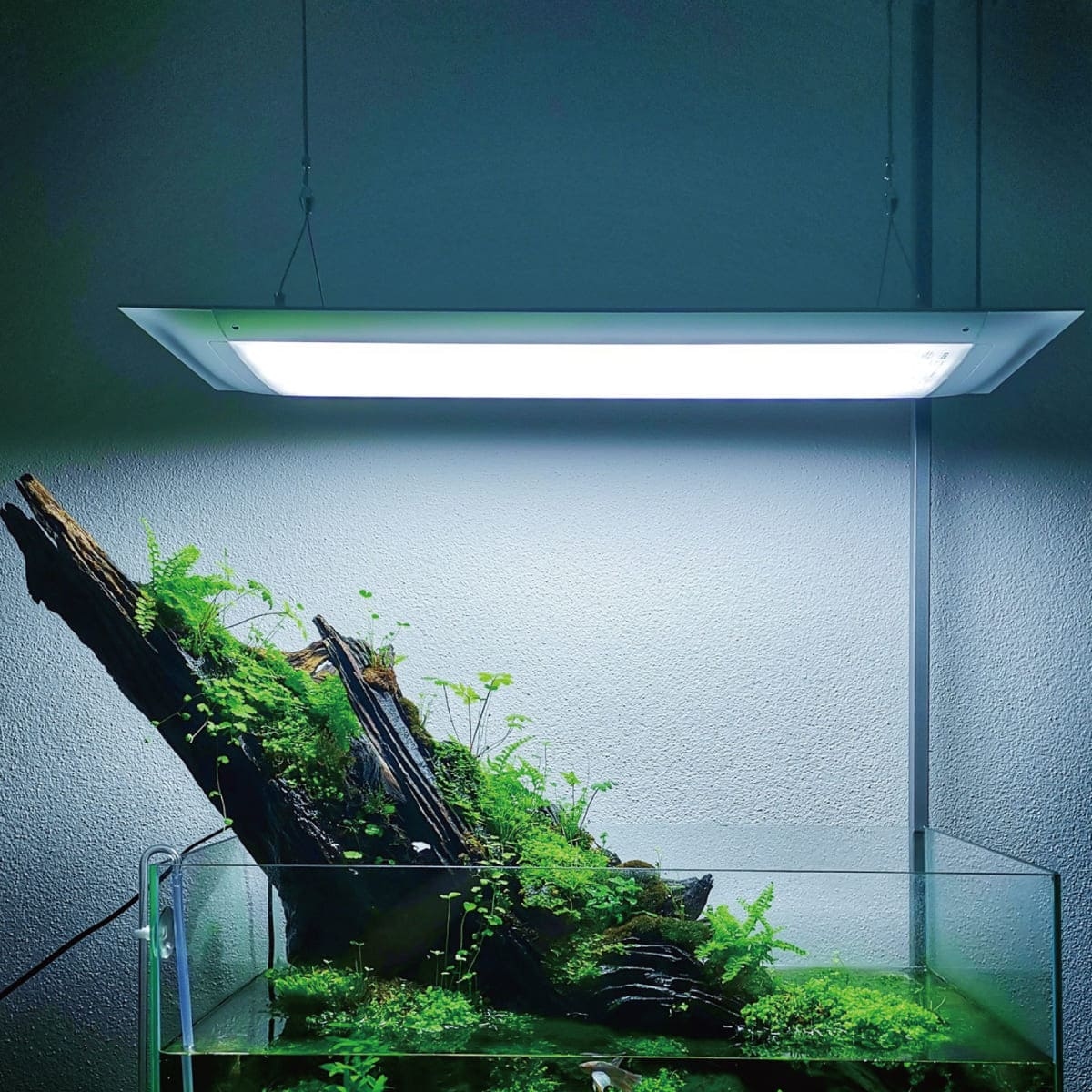 ONF| FLAT ONE- the smart led aquarium aquarium lighting