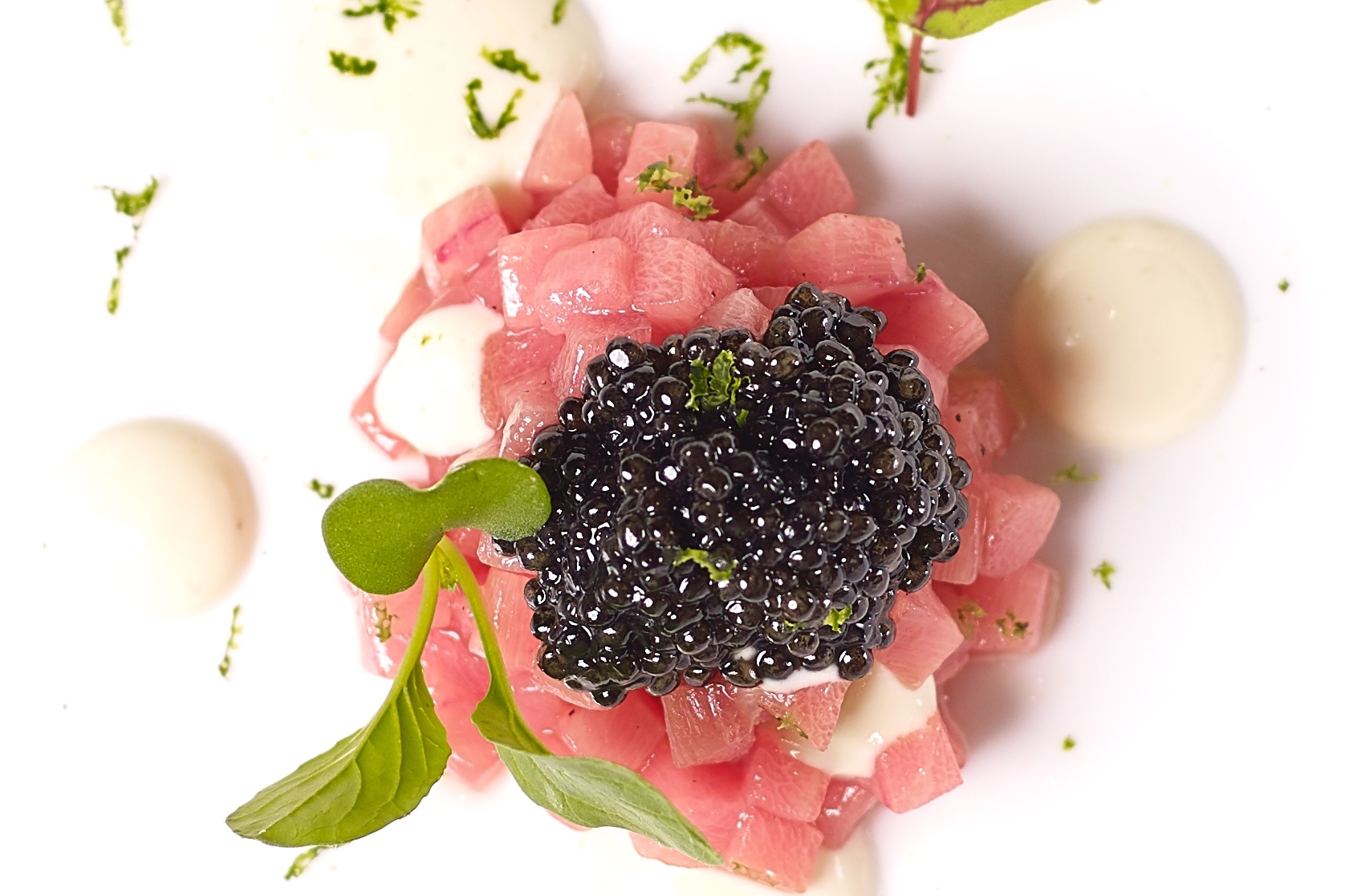 Marinated Tuna Tartare with Citrus and  Tofu Emulsion, Royal Oscietra Caviar