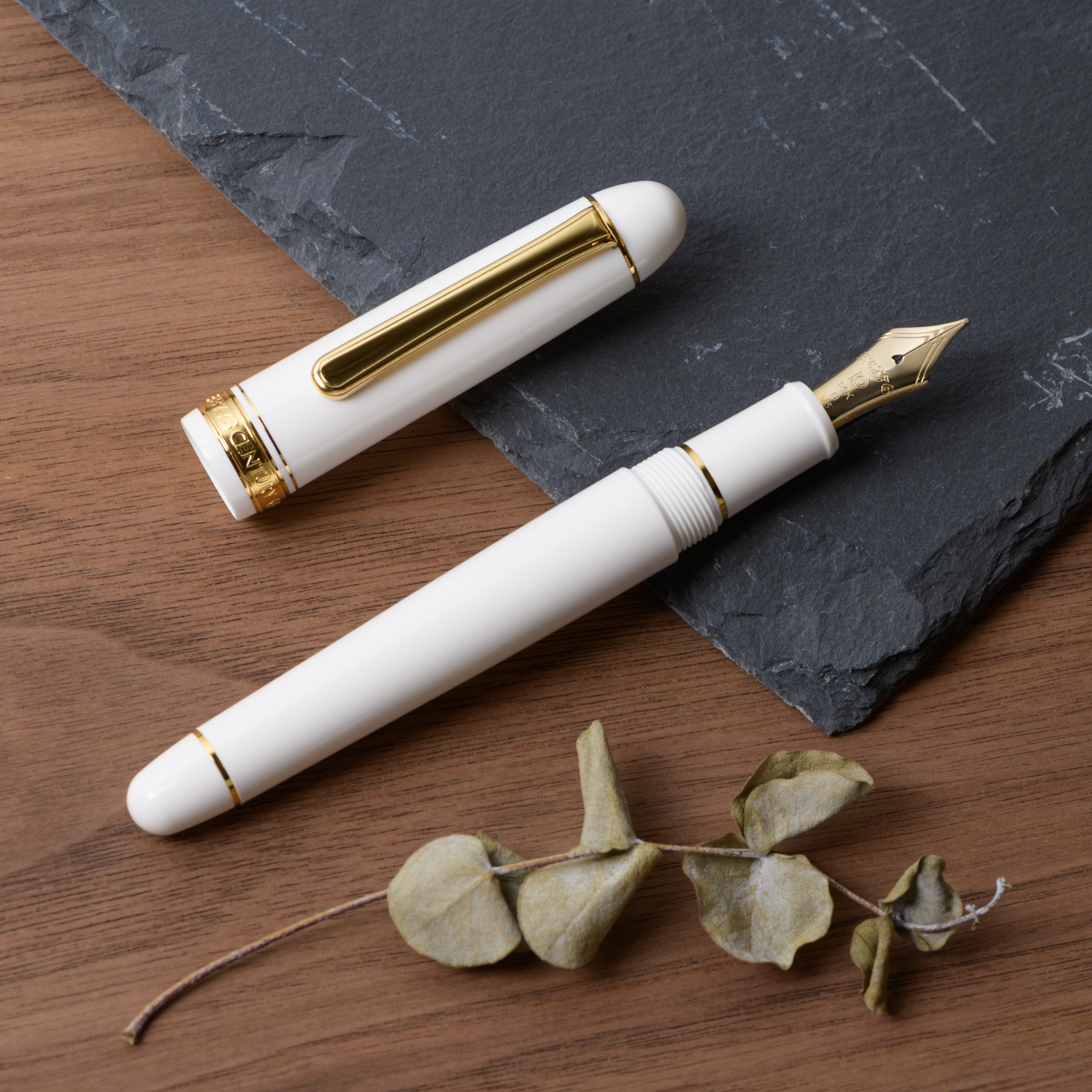 日本 白金｜3776 CENTURY 14K金 鋼筆