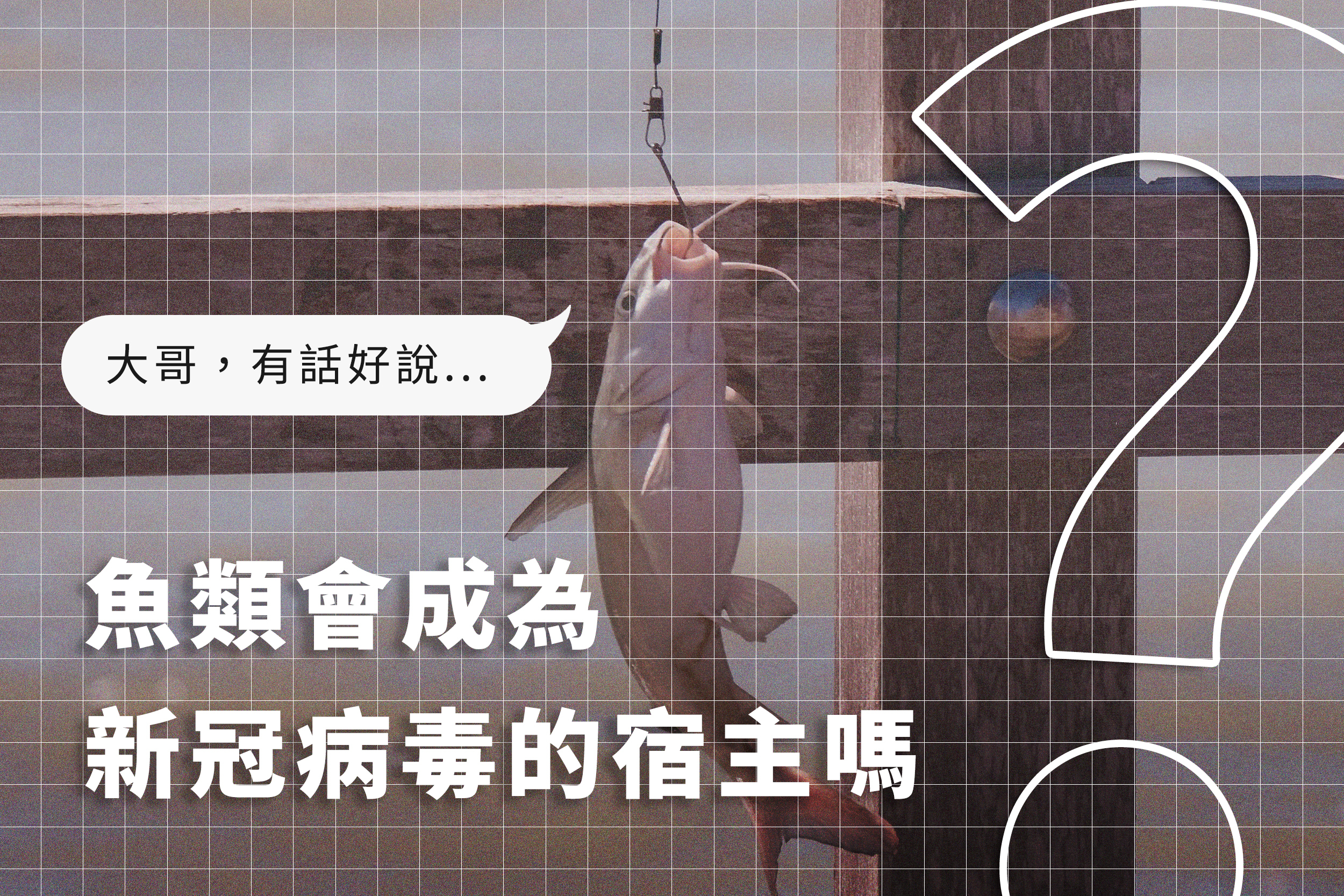 魚類會是新冠病毒的宿主嗎