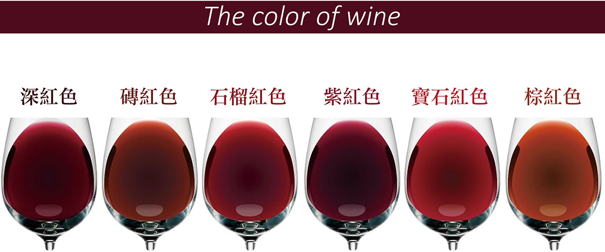 13種不同葡萄酒
