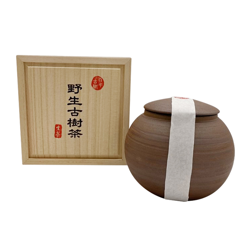 百年古數＞ 野生古樹茶