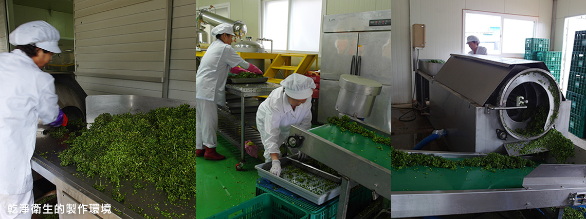 千年秀作,人參,人參果實,人參種子,韓國人參,人參皂苷,皂素,換個角度,韓國,養身食品,養身,健康,韓國禮盒,補品,安瓶,濃縮,人蔘茶,韓國茶,人蔘萃取,活力飲,香皂,禮盒,禮品,送禮,韓國