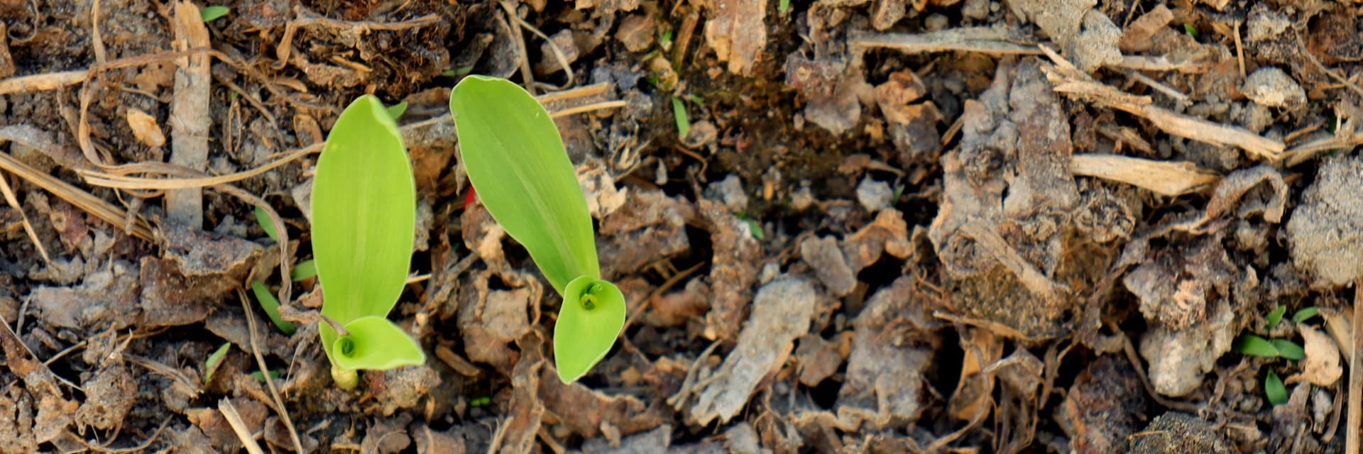 嶄露水果的真實  美味沒有祕密，選用天然水果原料，另提供相關檢測證明，讓你享受水果的真實。