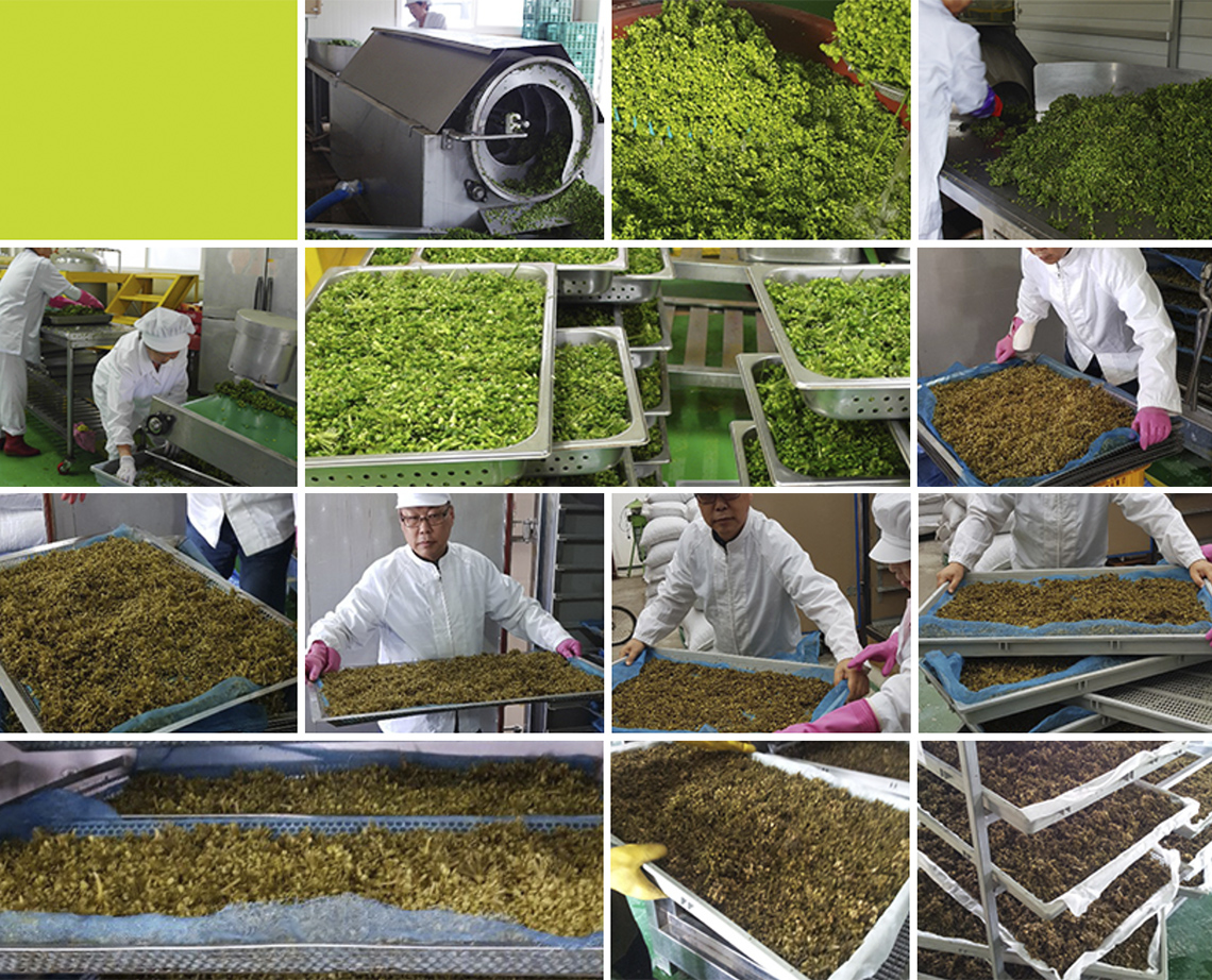 千年秀作,人參,人參果實,人參種子,韓國人參,人參皂苷,皂素,換個角度,韓國,養身食品,養身,健康,韓國禮盒,補品,安瓶,濃縮,人蔘茶,韓國茶,人蔘萃取,活力飲,香皂,禮盒,禮品,送禮,韓國