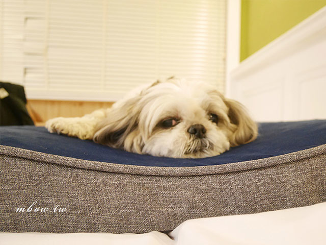 「寵物床墊推薦」Lifeapp舒弧墊 最符合狗體工學的寵物睡墊，布套及床體皆可拆洗，給毛孩一個乾淨舒適的睡眠環境