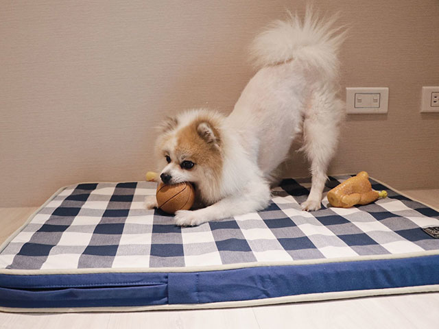 小資上班族的下班提案