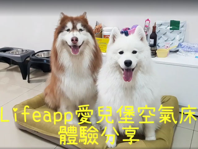 雪橇犬麥可噗優