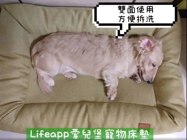 奶油臘腸林納豆