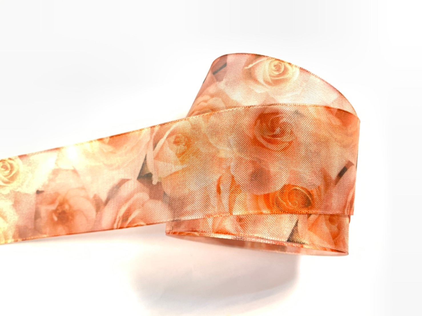 卡羅拉玫瑰/特薄網紗/38mm