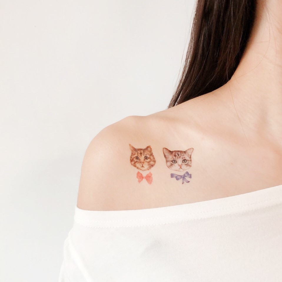 領結大頭貓 Kittens with bows
