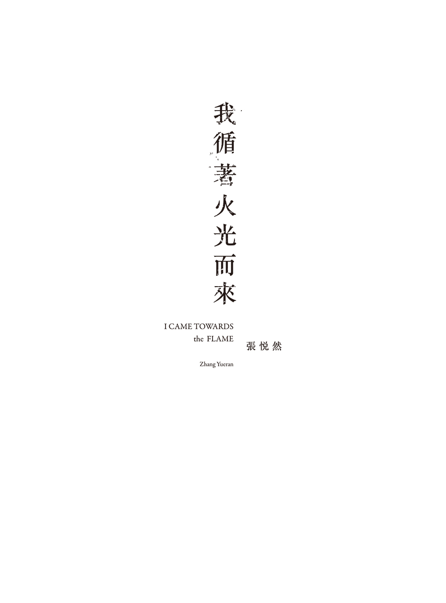 張悅然《我循著火光而來》