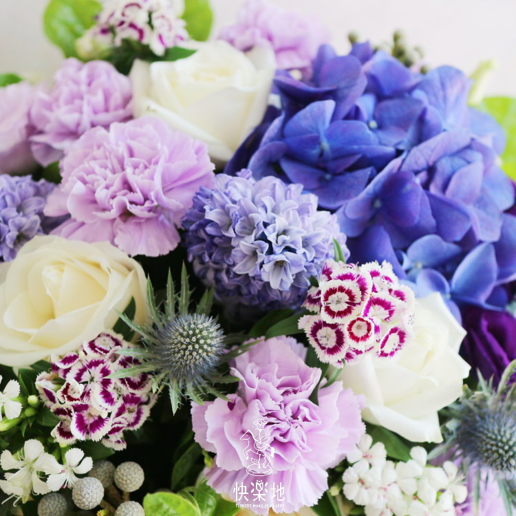 普羅旺斯陽光 I 盆花 AF200321