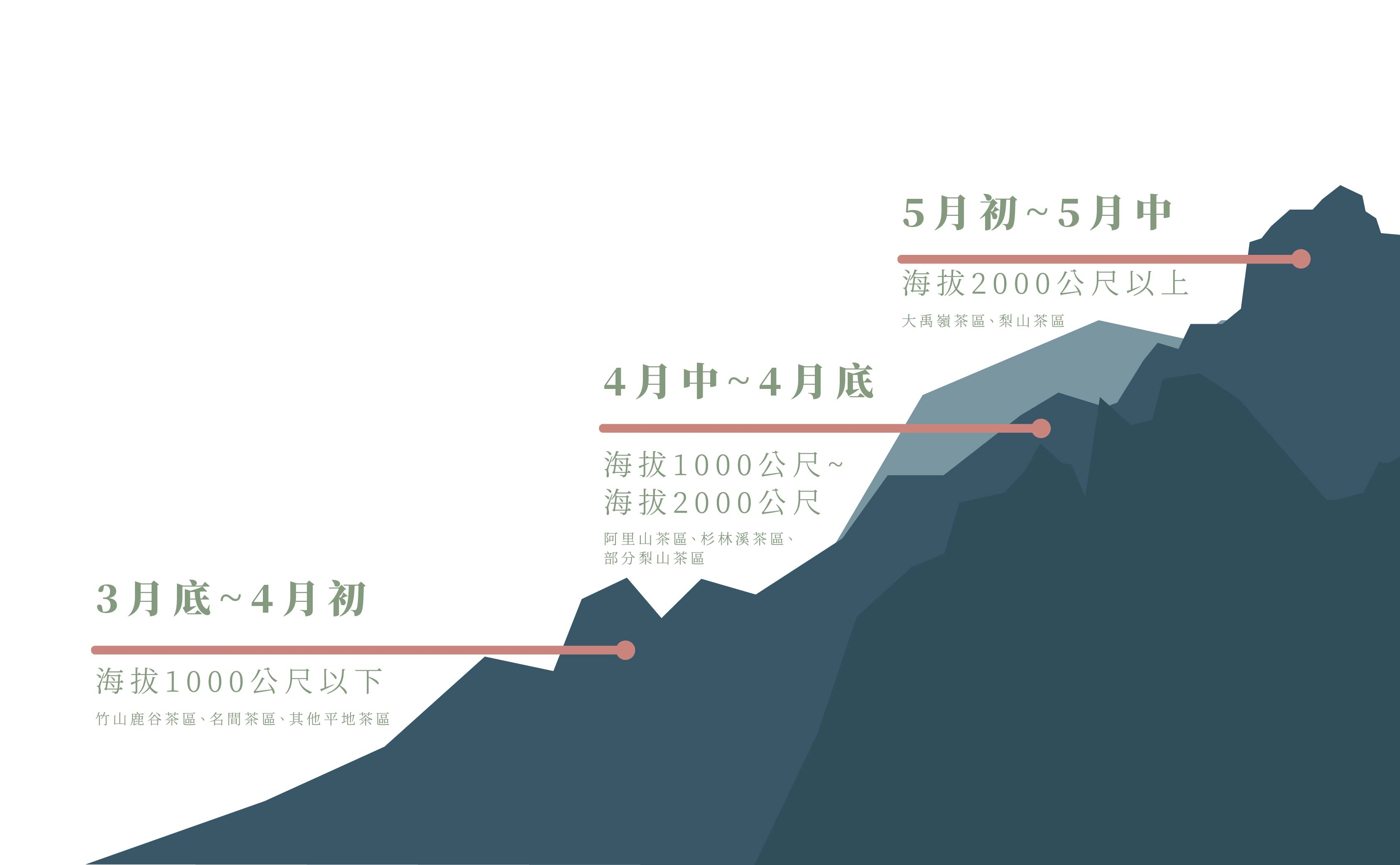 海拔高度決定了春茶開始的時間