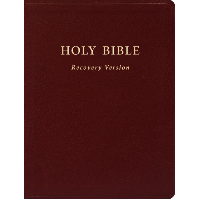 Holy Bible Recovery Version With Footnotes Pdf