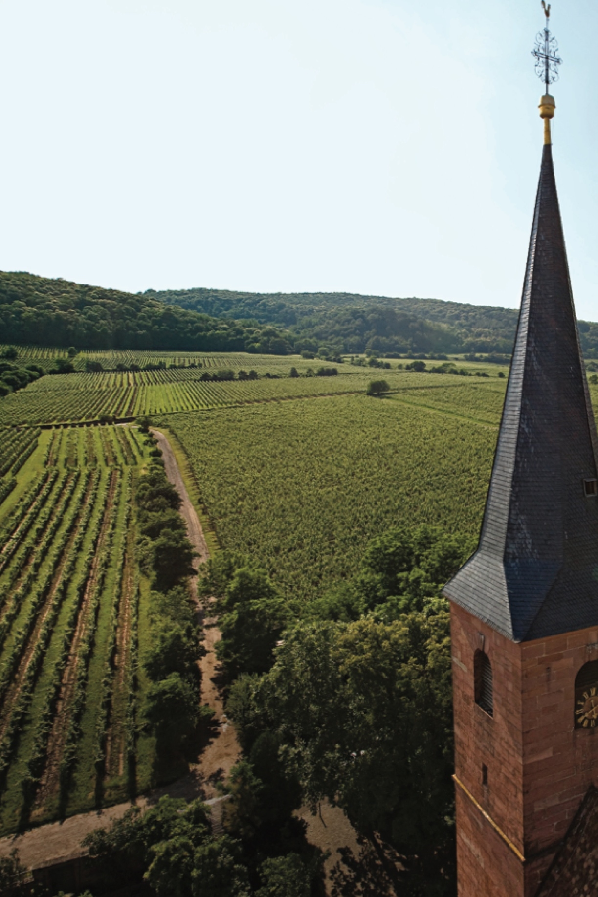 Wine region, south-west German districts
