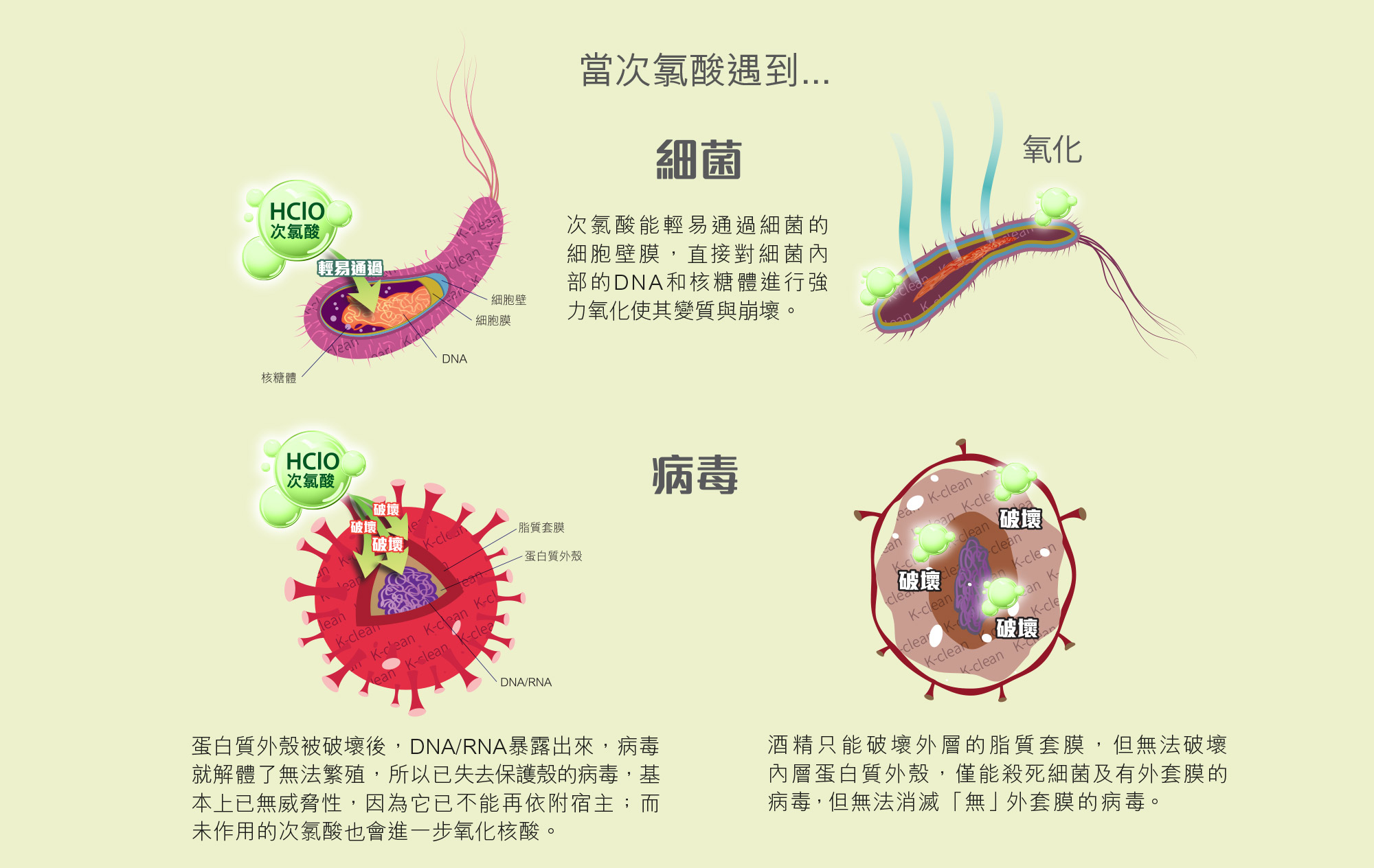K-clean 殺菌原理