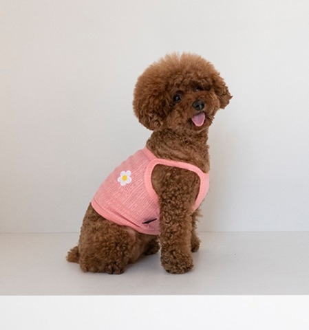 💟 Cote a Cote 💟Daisy 短版細肩帶背心（蜜桃）