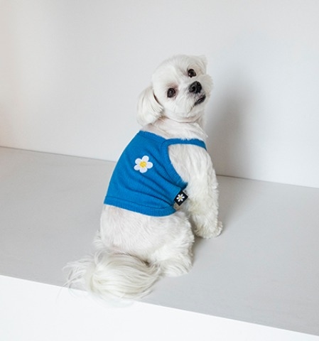 💟 Cote a Cote 💟Daisy 短版細肩帶背心（海藍）