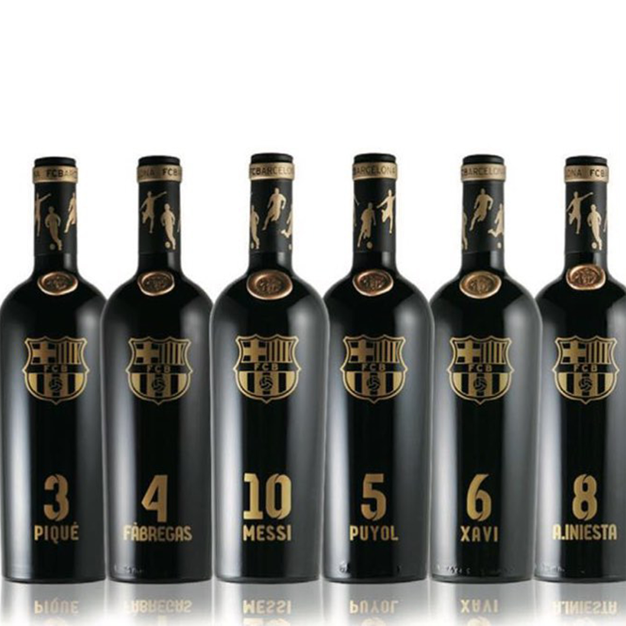 FC Barcelona Premium Reserva 2008 (球員號 6支)