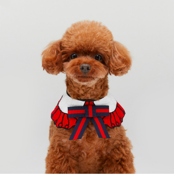 DDOANG 高校生領結圍巾 （紅)