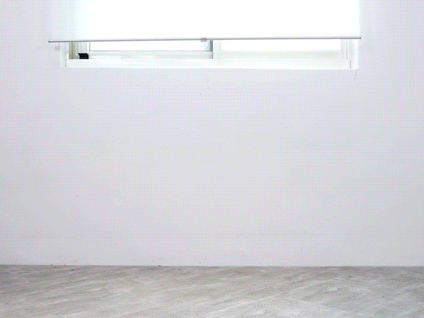 REVOCASE 收藏收納展示盒｜鞋履、公仔