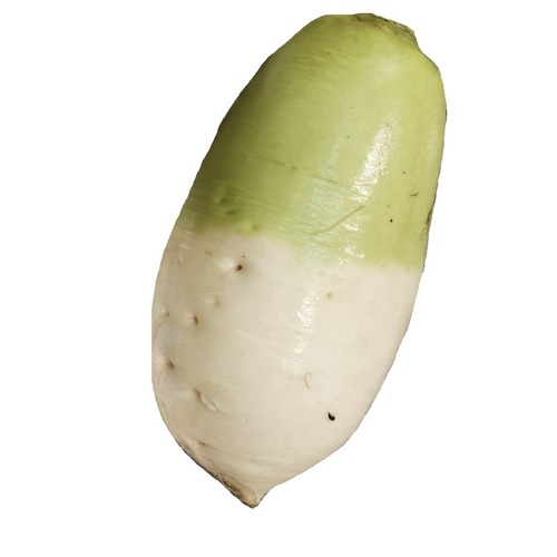 Korean White Radish