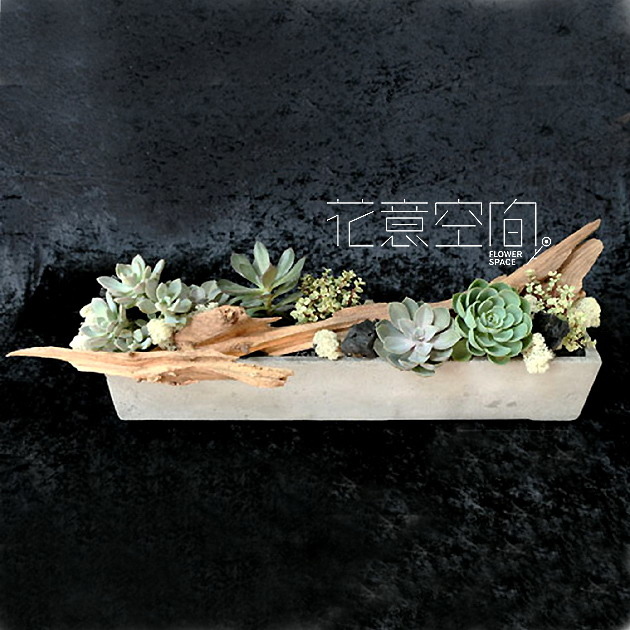 組合多肉長型植栽