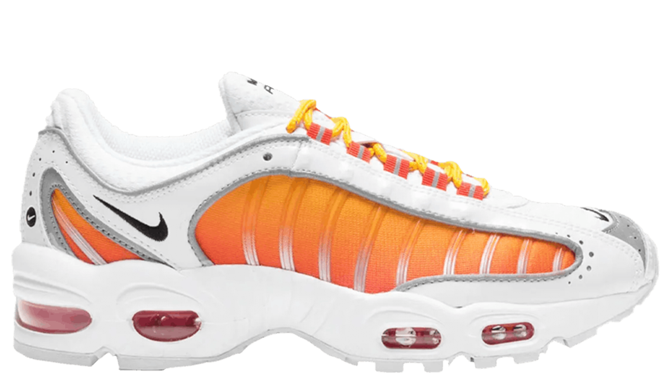 tailwind 4 white